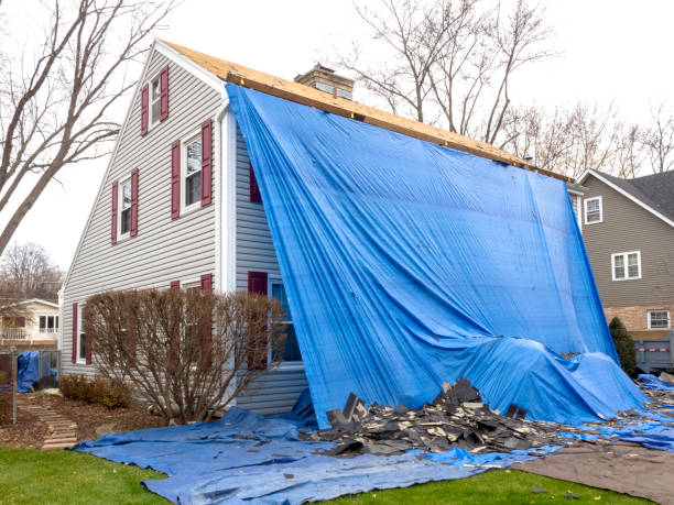 Best Basement Cleanout  in Branchville, SC